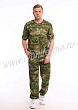 Расцветка 1